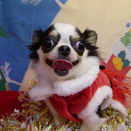 ����@���L�@�i�`�����j2